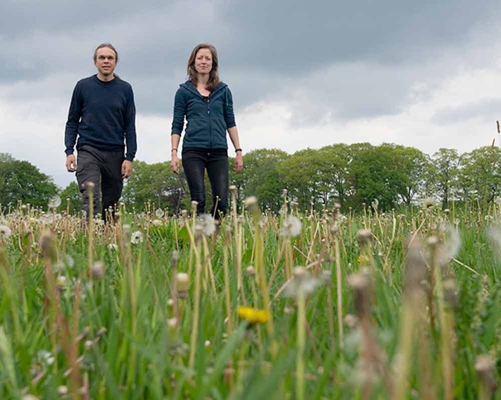 grondsteun-bijdrage-initiatieven-donatie-investering-depatrijs-1-4feef203 Achtergrond Achtergrondinformatie over de Stichting Grondsteun, de doelstellingen van de stichting, uitleg over biodiversiteitsherstel en veelgestelde vragen.