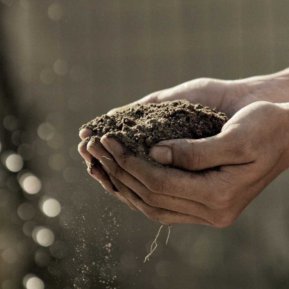 prond-voor-de-patrijs-foto-boer-8052c12f Stichting Grondsteun Stichting Grondsteun ondersteund natuurinclusieve landbouw door donaties en leningen op te halen om landbouwgrond te verwerven en ter beschikking van de ondernemer te stellen om te boeren met biodiversiteit. Informatie over Stichting Grond voor de Patrijs. Bijdragen aan duurzame landbouw.